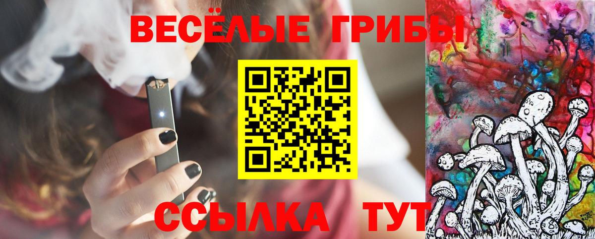 Псилоцибиновые грибы MAGIC MUSHROOMS Кинель