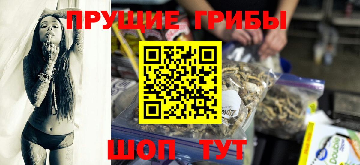 Галлюциногенные грибы Cubensis  Вход с VPN  Кинель 